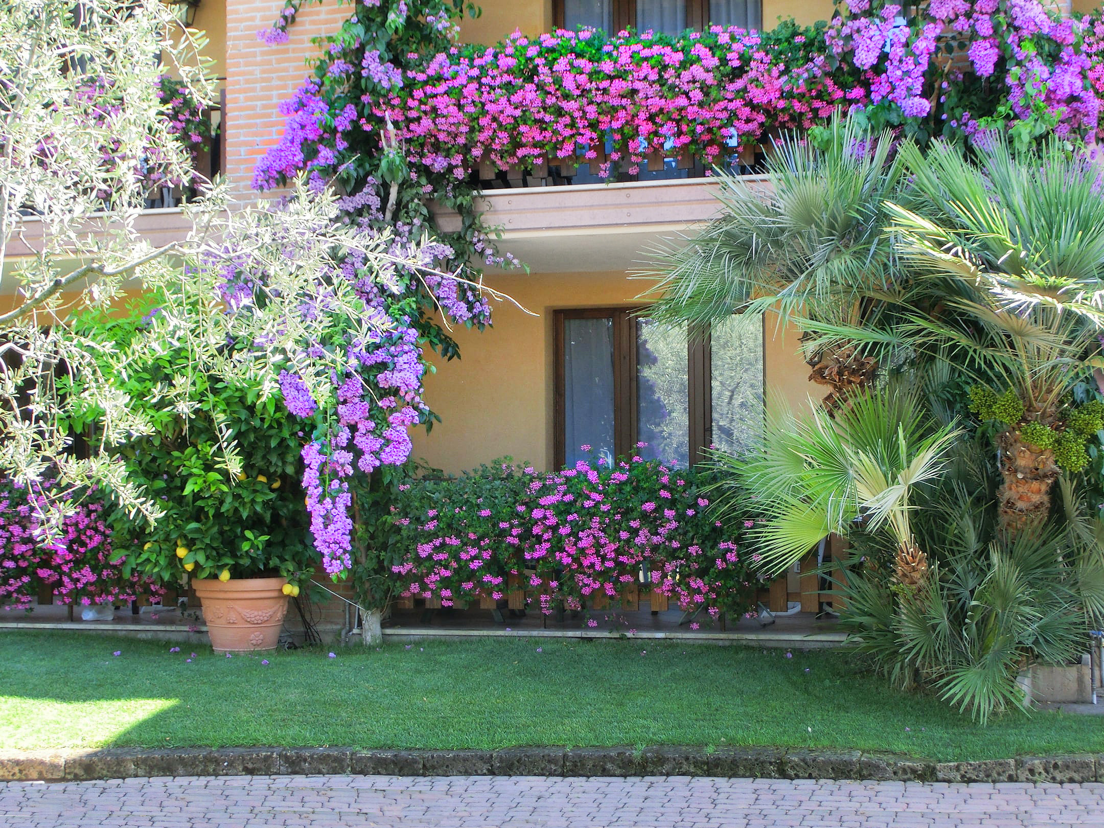 03ee3c3a b542-351e-a65b-ea81bf062ce6